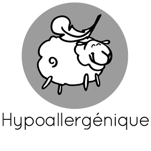icone matelas hypoallergenique
