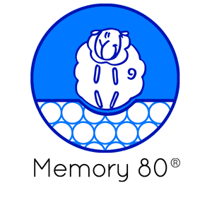 icone mousse memory 80
